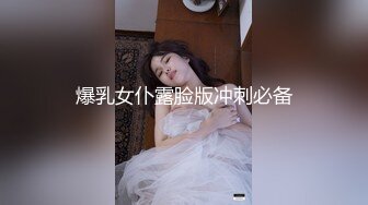 爆乳女仆露脸版冲刺必备