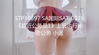 STP30697 SA国际SAT-0076《超近公务员1》上班执行秘密公务 小遥