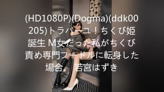 (HD1080P)(Dogma)(ddk00205)トラバーユ！ちくび姫誕生 M女だった私がちくび責め専門フードルに転身した場合。 若宮はずき