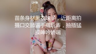 丰满E奶美眉和粉丝约战 KTV卖弄风骚大奶子真的美