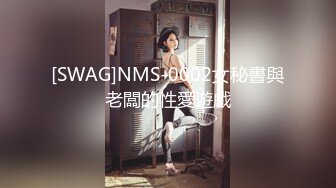 [SWAG]NMS-0002女秘書與老闆的性愛遊戲