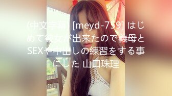 (中文字幕) [meyd-759] はじめて彼女が出来たので義母とSEXや中出しの練習をする事にした 山口珠理