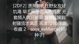 Al&mdash;刘亦菲女仆自慰