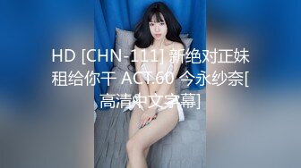 HD [CHN-111] 新绝对正妹租给你干 ACT.60 今永纱奈[高清中文字幕]