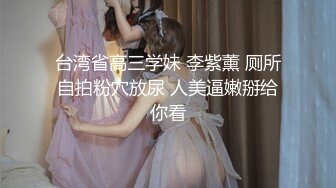 人妻牛仔裤搜査官