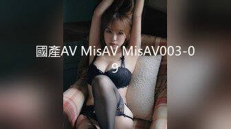 國產AV MisAV MisAV003-09