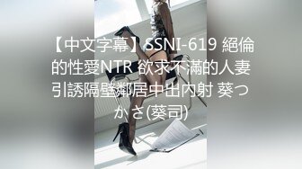 【中文字幕】SSNI-619 絕倫的性愛NTR 欲求不滿的人妻引誘隔壁鄰居中出內射 葵つかさ(葵司)