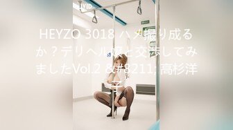 HEYZO 3018 ハメ撮り成るか？デリヘル嬢と交渉してみましたVol.2 &#8211; 高杉洋子