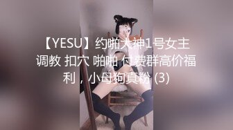 【YESU】约啪大神1号女主 调教 扣穴 啪啪 付费群高价福利，小母狗真粉 (3)