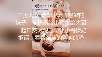 缓交妹女仆制服诱惑，下面好肥水好多啊，都够一瓶了