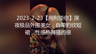 2023-2-23【用利顶你】深夜极品外围美女，自带豹纹短裙，性感热舞骚的很