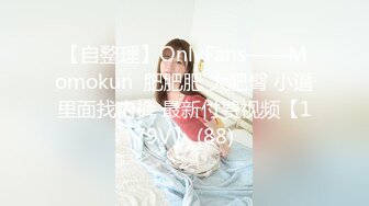 无人后继54蓝色百褶裙掀裙抄底