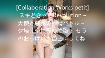 [Collaboration Works petit] ヌキどきッ！Revolution～天使と悪魔の搾精バトル～ 夕焼け空に天使降臨！ セラのおっぱい、自由にしてね 編