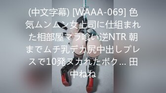 [无码破解]SDMT-977 Hの最中にバレないよう妻に目隠しして旦那と入れ替わったAV男優の超絶テクニックで何度も激イキさせられている最愛の妻をカメラで撮ってみませんか？